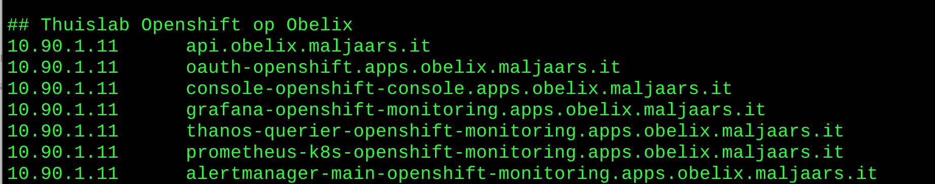 Screenshot /etc/hosts file