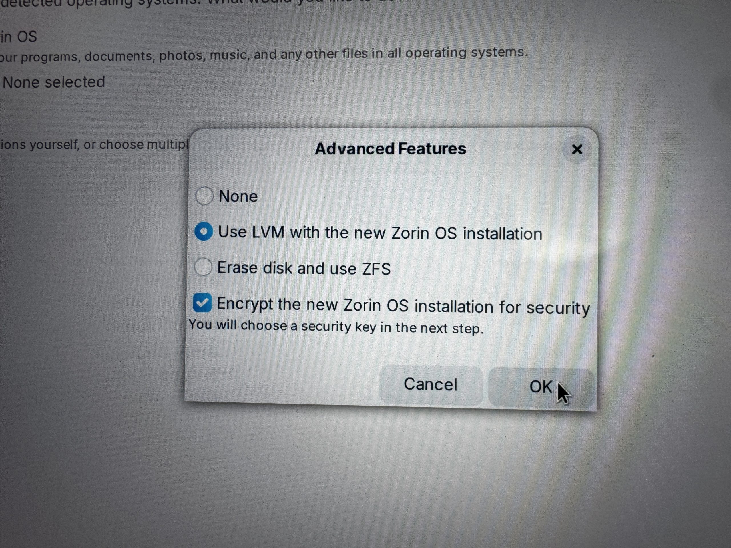 Schermafbeelding Zorin installatie diskindeling