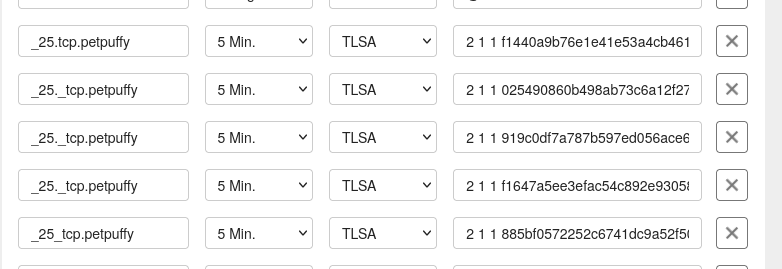 TransIP dns settings screenshot