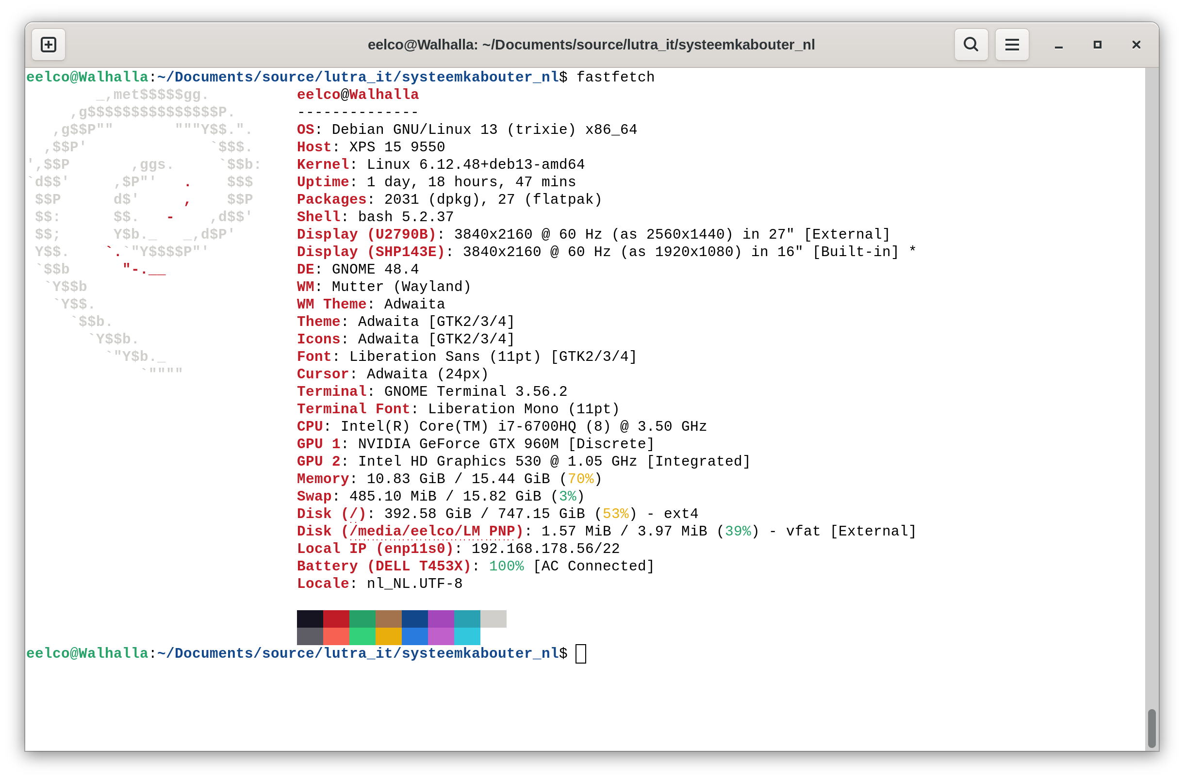 Walhalla fastfetch output