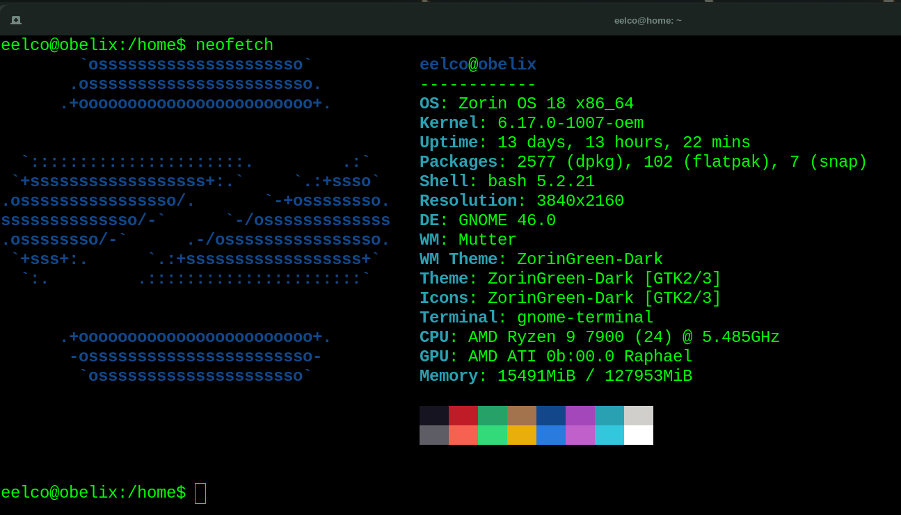 Obelix running ZOrin now